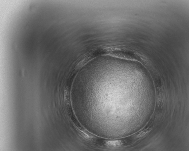 X0000059800281200510281647