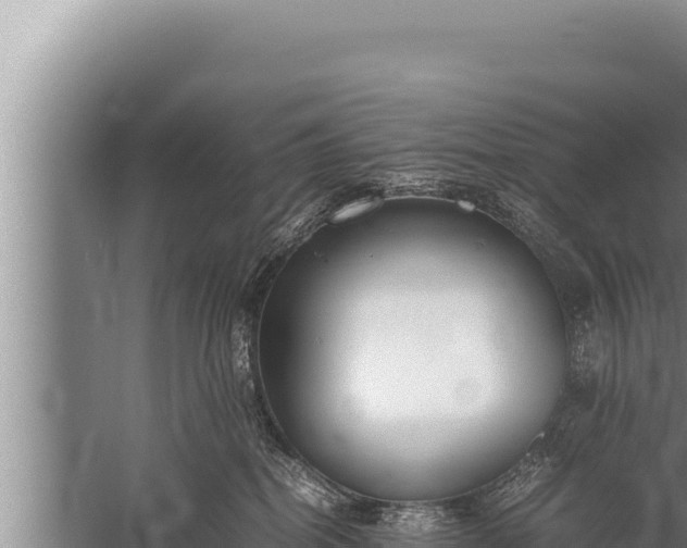 X0000059800282200510281647