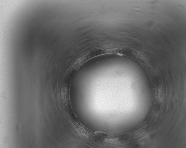 X0000059800283200510281647