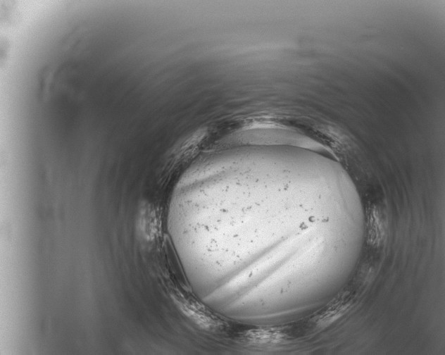 X0000059800284200510281647