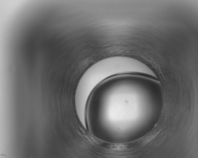 X0000059800288200510281647