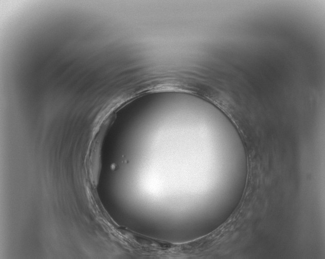 X0000059800289200510281646