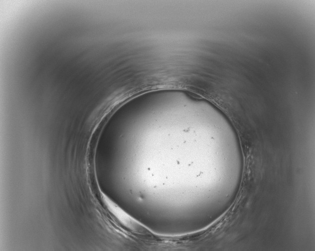 X0000059800290200510281646