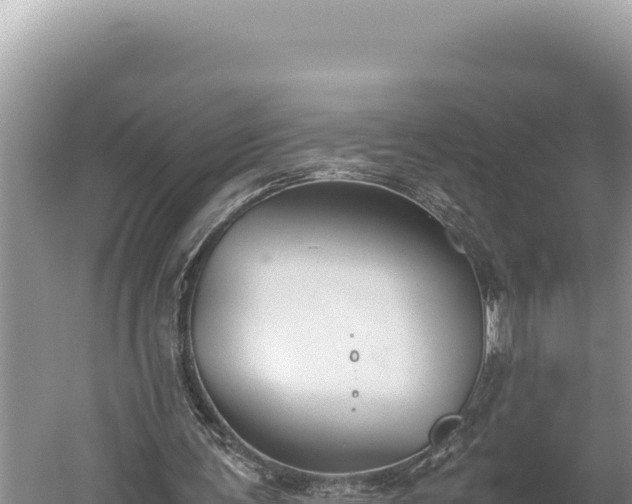 X0000059800291200510281646