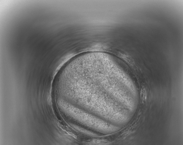 X0000059800292200510281646