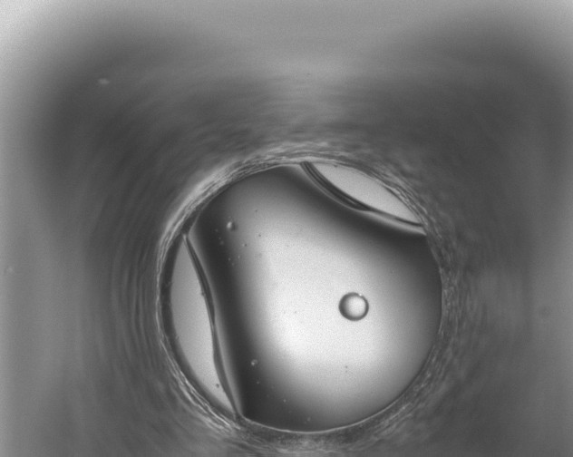 X0000059800293200510281646