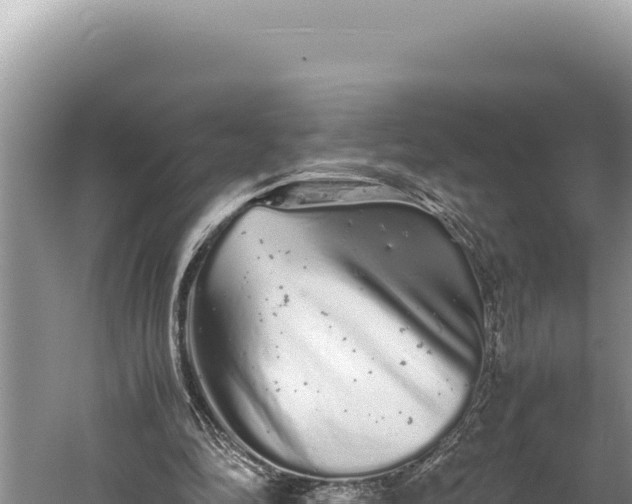 X0000059800294200510281646