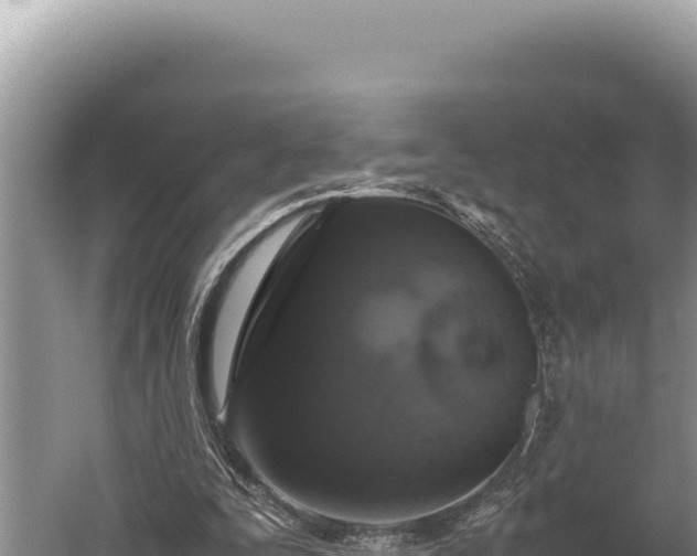 X0000059800295200510281646