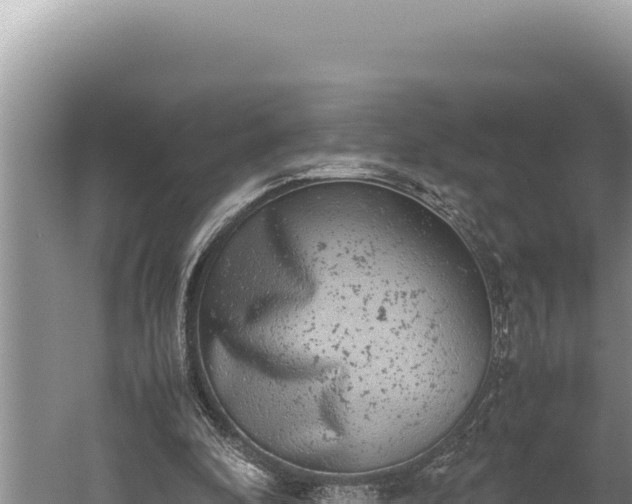 X0000059800296200510281646