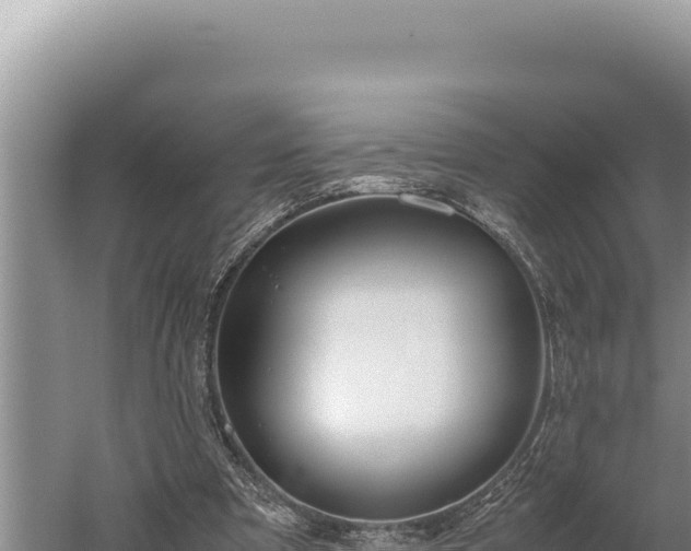 X0000059800297200510281646