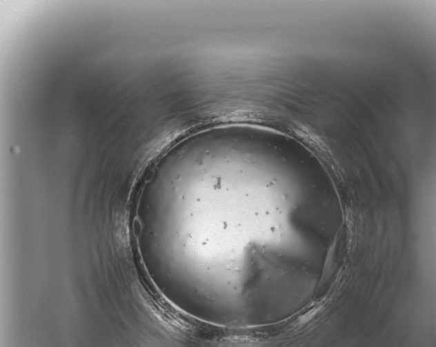 X0000059800298200510281646