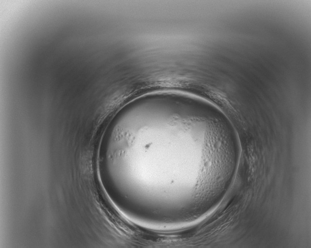 X0000059800299200510281646