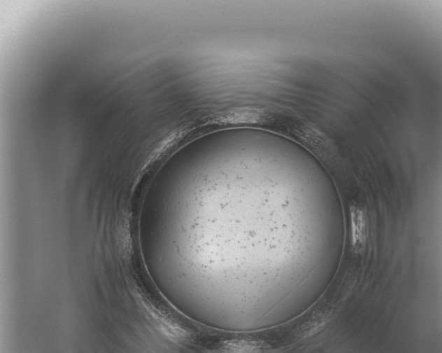 X0000059800300200510281646