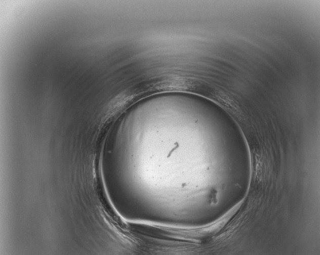 X0000059800302200510281646