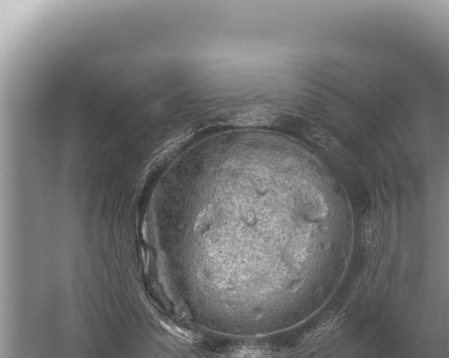 X0000059800303200510281646