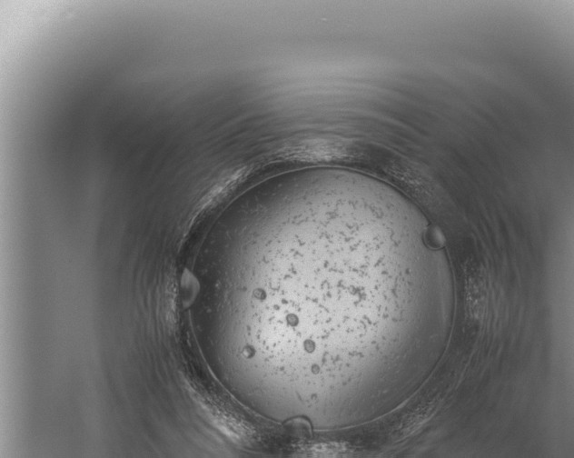 X0000059800304200510281646