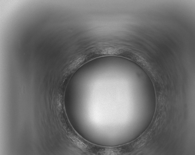 X0000059800305200510281646