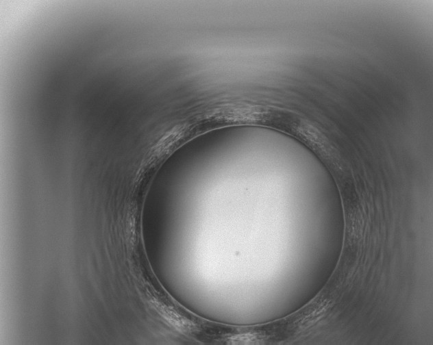 X0000059800309200510281646