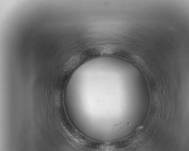 X0000059800311200510281646