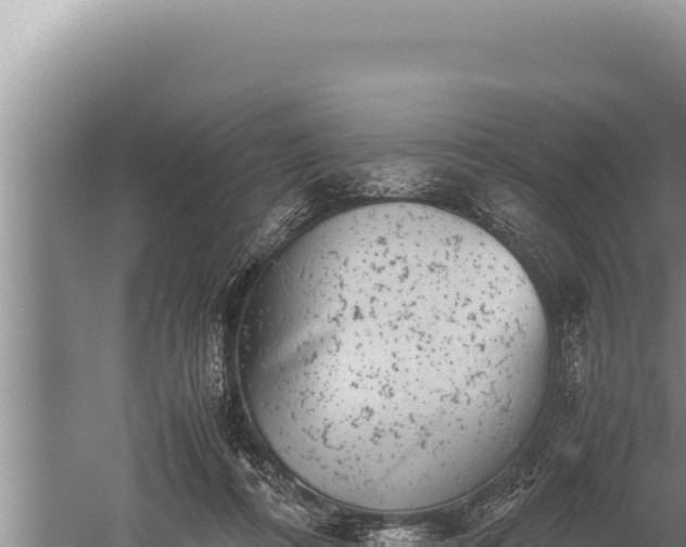 X0000059800312200510281646