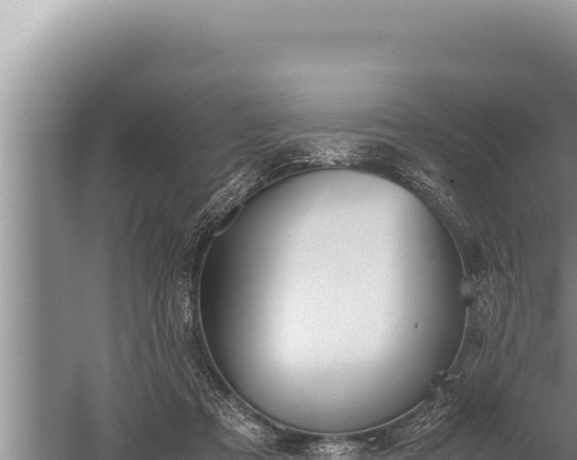 X0000059800313200510281646