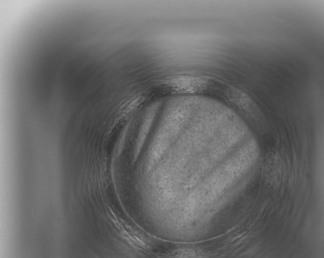 X0000059800314200510281646