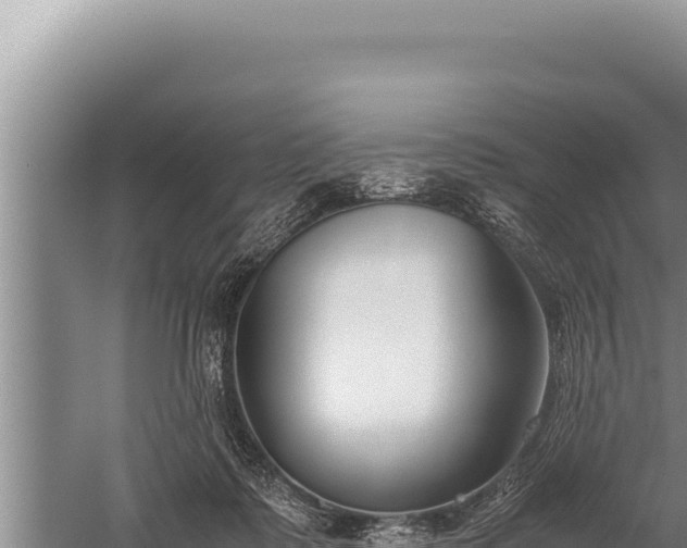 X0000059800315200510281646