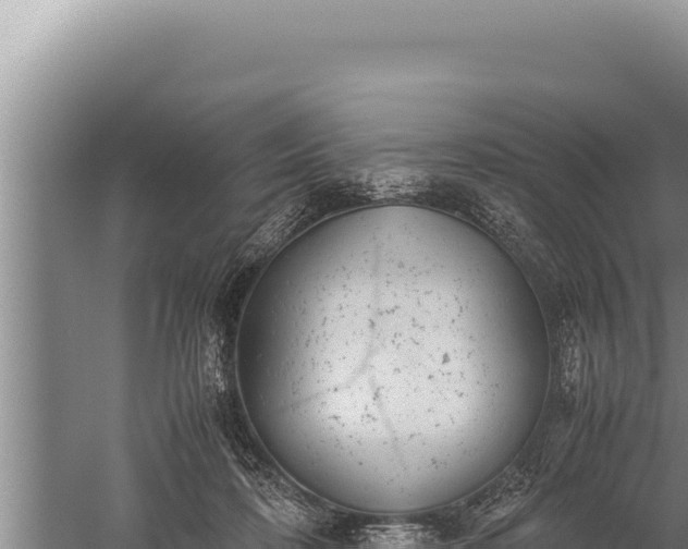 X0000059800316200510281646