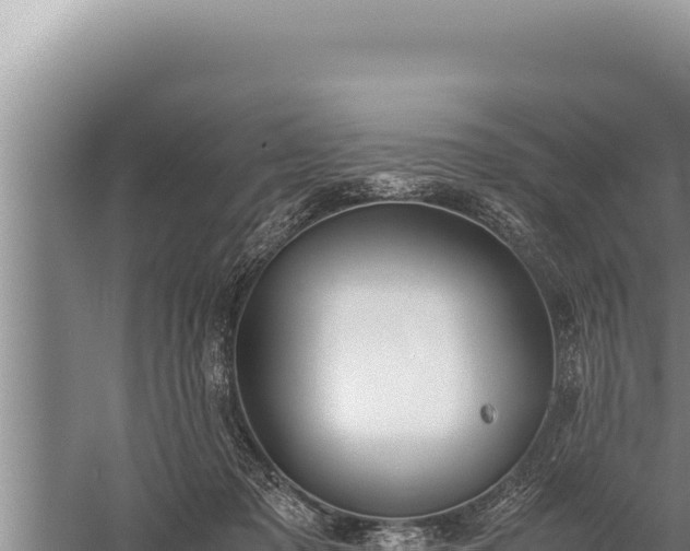 X0000059800317200510281646