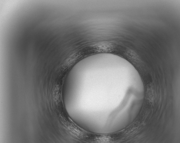 X0000059800318200510281646