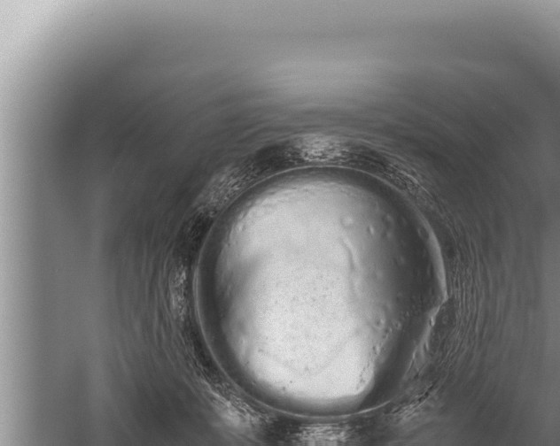 X0000059800319200510281646