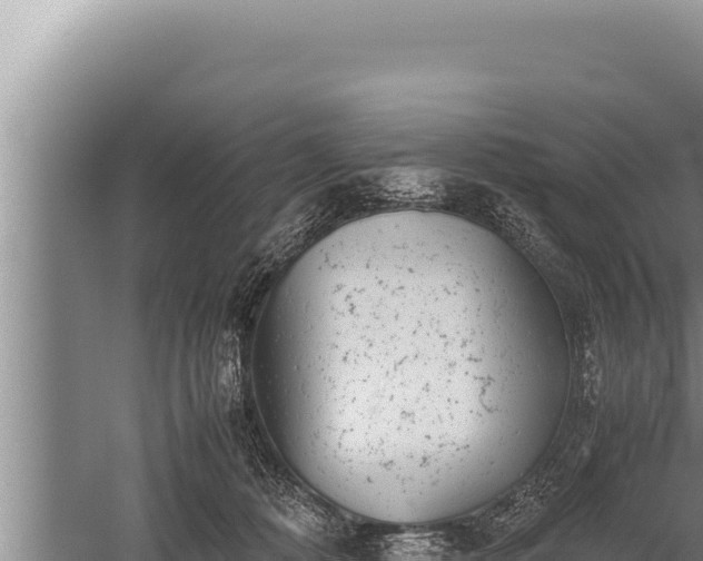 X0000059800320200510281646