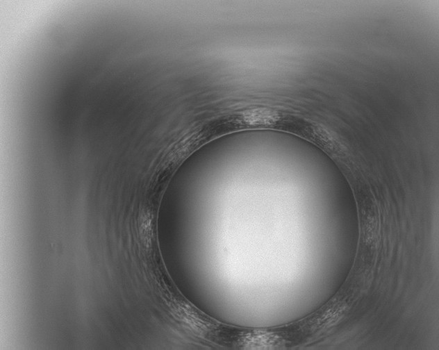 X0000059800321200510281646