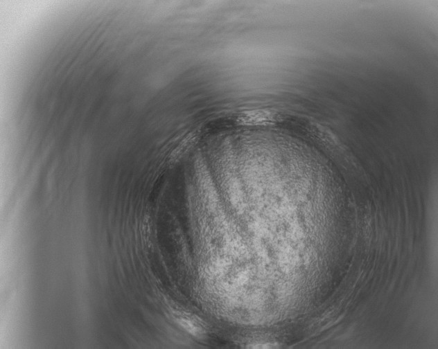 X0000059800322200510281646