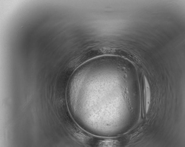 X0000059800323200510281646