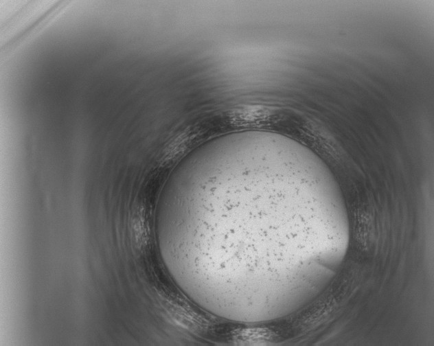 X0000059800324200510281645