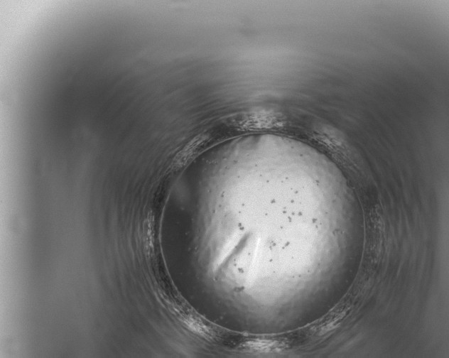 X0000059800326200510281645