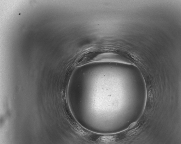 X0000059800327200510281645