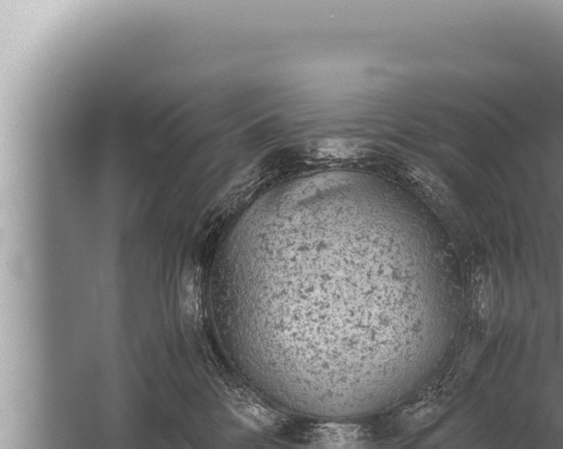 X0000059800328200510281645