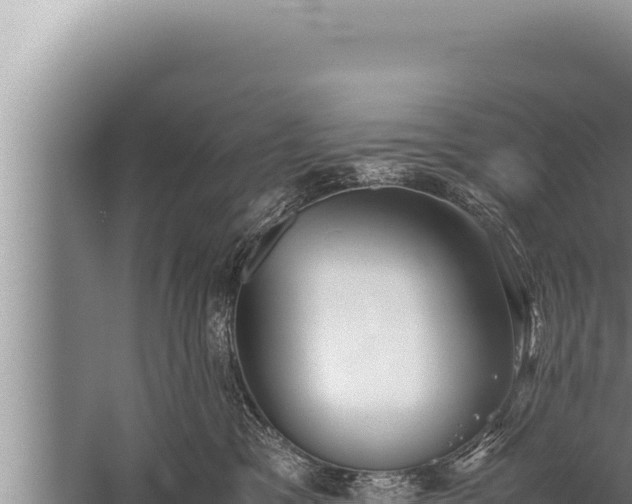 X0000059800329200510281645