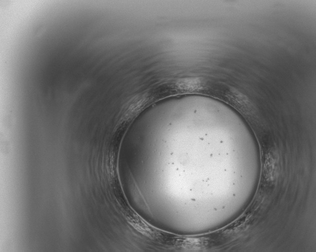 X0000059800330200510281645