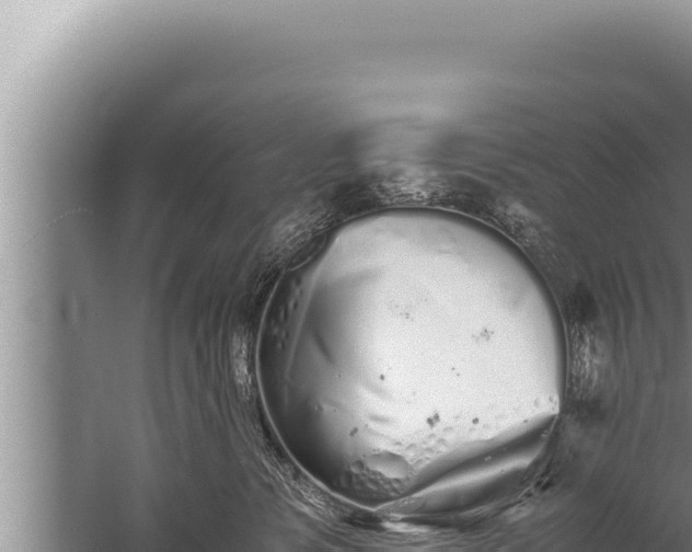 X0000059800331200510281645