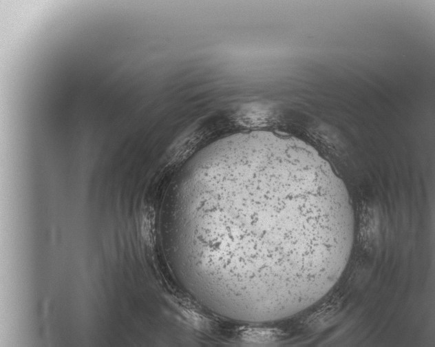 X0000059800332200510281645