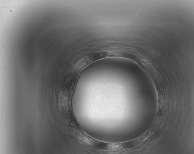 X0000059800333200510281645