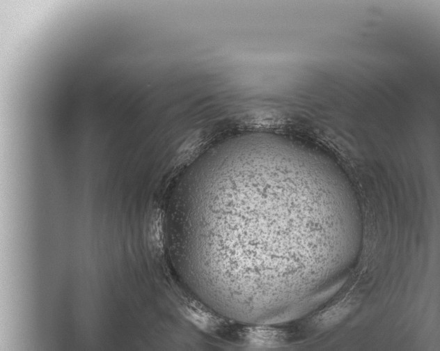 X0000059800336200510281645