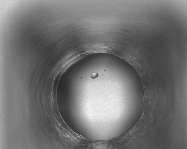 X0000059800338200510281644