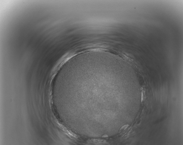 X0000059800339200510281645