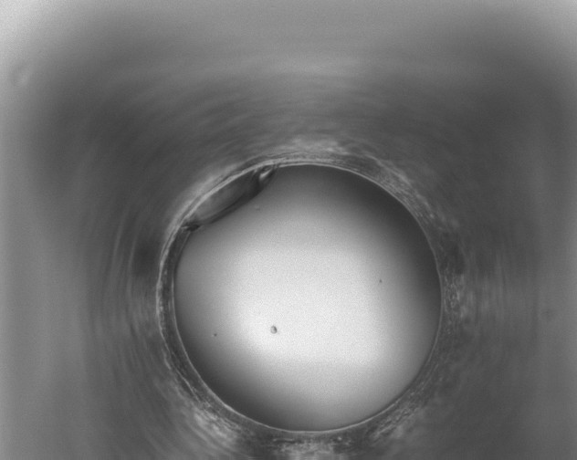 X0000059800340200510281645