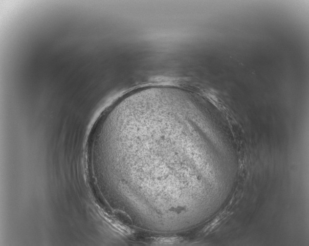 X0000059800342200510281645