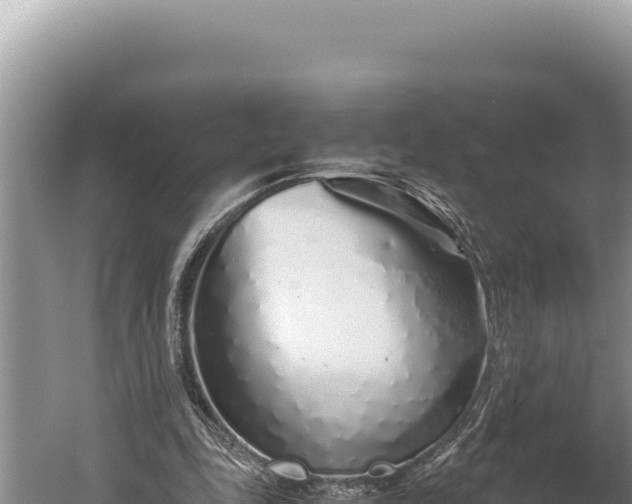 X0000059800343200510281645